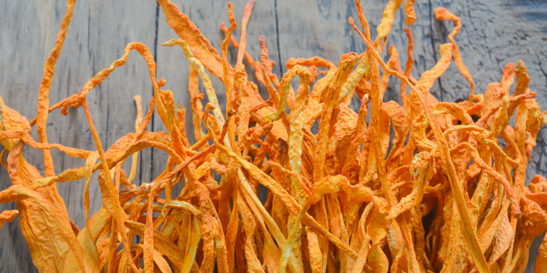 Cordyceps - Performance Powerhouse